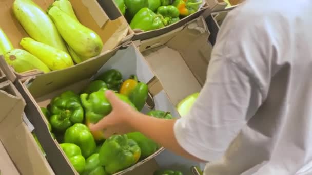 Green Juicy Fresh Peppers Store Counter Hand Chooses Pepper Box — Vídeo de stock