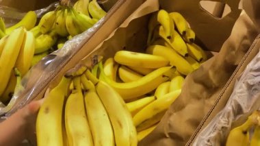 Man chooses a fresh yellow banana in a grocery supermarket. yellow bananas on the shelf