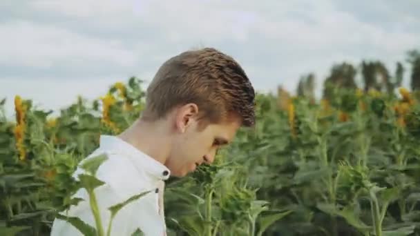 Крупним планом хлопець гуляє в полі соняшників, влітку похмура погода. Портрет хлопця, який позує на камеру — стокове відео