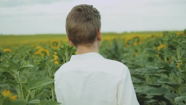 Close-up guy walks in a field of sunflowers, summer cloudy weather. Portrait of a guy posing for the camera — Stockvideo