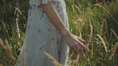 Orta ölçekli kadın eli, gün batımında, el kamerasıyla çekilmiş, olgun, altın çimen dikenlerine dokunur..