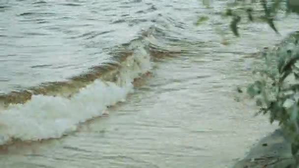 Büyük bir nehrin kıyısında. Yakın - dalgalar kumlu sahili yıkıyor. Ukrayna 'nın Doğası — Stok video