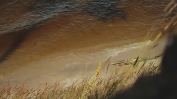 Stranden vid en stor flod. Små vågor tvättar sandstranden och gräset på framsidan. Typ av Ukraina — Stockvideo