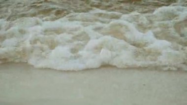 The shore of a large river. Close - up small waves wash the sandy shore. Nature of Ukraine