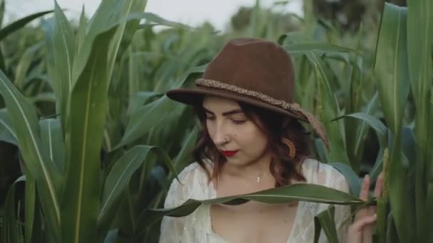 Portré gyönyörű fiatal lány kalapban áll a kukoricaföldön mosolyog, és nézi a kamera a puha fényben. Modern gazdálkodás, boldog ifjúság — Stock videók