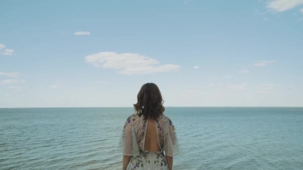 A woman admires the sea where white clouds merge with the water on the horizon. Rear view — Stockvideo