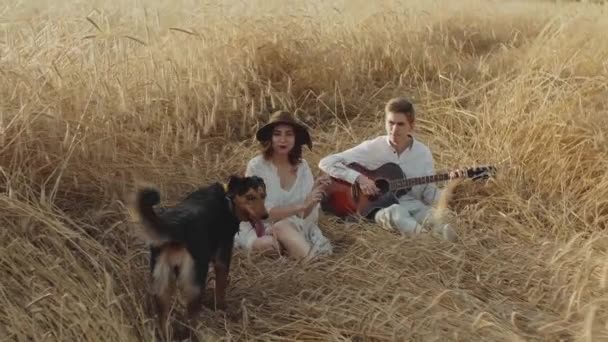 Pareja en el amor hombre y mujer están jugando con el perro en el campo de las espiguillas. Joven pareja amorosa en el campo, chico tocando la guitarra chica escuchando — Vídeo de stock