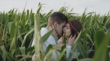 Young hipster men hugging and kissing in front of corn field or farmland medium shot. Caucasian man holding girls face in his arms closed eyes. Couple, date, love and lifestyle concept.