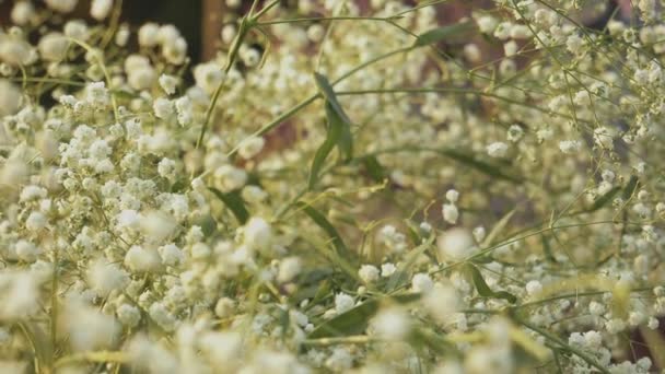 Bouquet di gypsophila paniculata bianco primo piano slow motion. — Video Stock