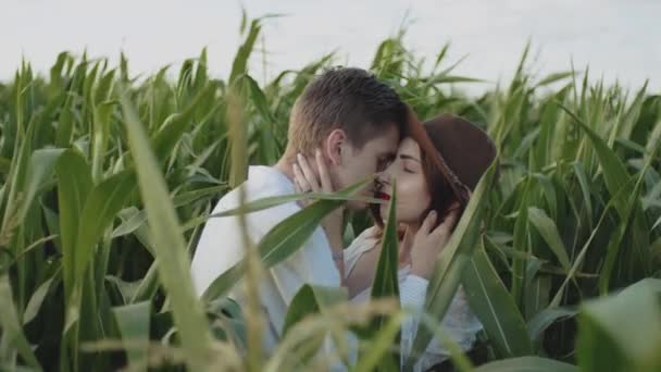 Loving couple in the corn field. slow motion. Couple hugging and kissing farmland medium shot . Caucasian man holding girls face in his arms closed eyes. Couple, date, love and lifestyle concept. — Video