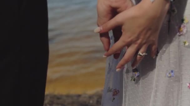 Close-up of hands joining together with sunlight flare in the background. Beautiful romantic moment between two lovers — Stock Video