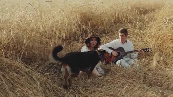 Couple in love man and woman are playing with dog in the field of spikelets slow motion. Young loving couple in the field, guy playing guitar girl listening — Stock Video