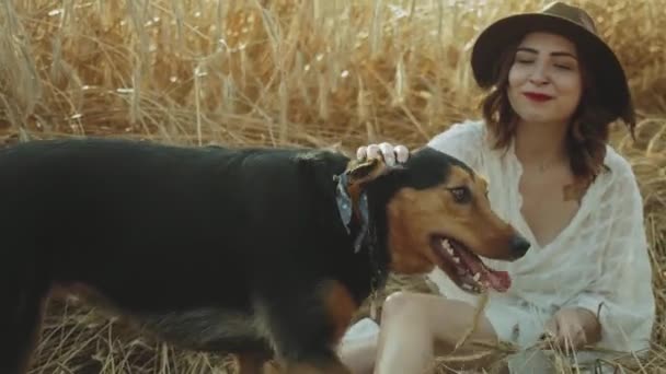 Couple in love man and woman are playing with dog in the field of spikelets slow motion close-up. Young loving couple in the field, guy playing guitar girl listening — Stock Video