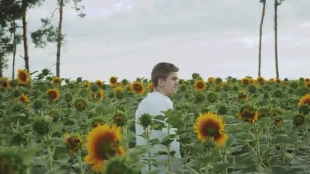 閉じ込められた男がひまわり畑を歩いてる夏の曇天 カメラの前でポーズをとる男の肖像画 高品質4K映像 — ストック動画