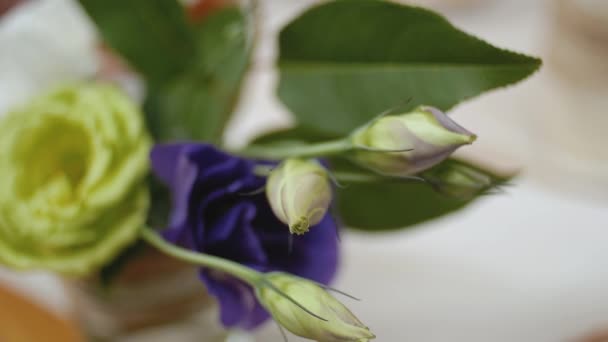 Schöne Hochzeitsdekoration Alle Pastellfarben Gehalten Kamera Zeitlupe Nahaufnahme Von Blumen — Stockvideo