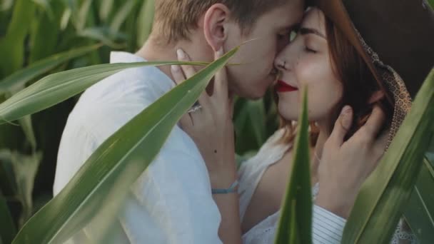 Young Hipster Men Hugging Kissing Front Corn Field Farmland Close — Video