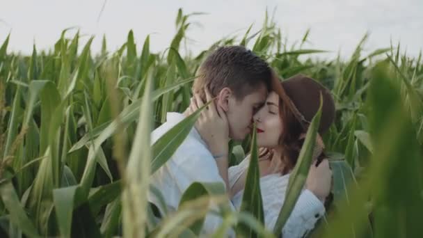 젊은이들 옥수수 밭이나 농업용수 앞에서 입맞춤을 얼굴을 데이트 양식의 — 비디오