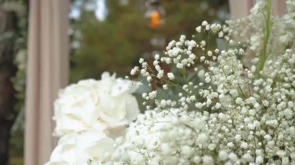 Ramo Gypsophila Paniculata Crisantemo Colores Blancos Cámara Lenta Primer Plano — Vídeos de Stock
