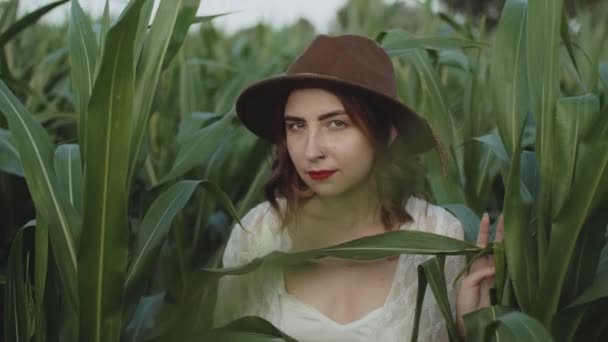 Portrait Beautiful Young Girl Hat Standing Corn Field Smiling Looking — Video Stock