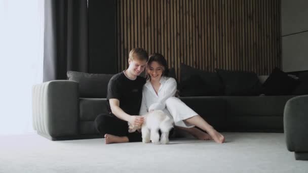 Lovely Couple Dog Sitting Floor Spouses Enjoying Each Other Couple — Vídeos de Stock