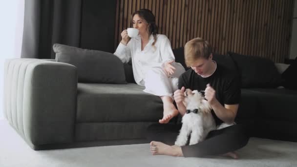 Beautiful Couple Dog Gay Sitting Playing Small Dog Woman Drinks — Video