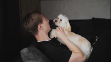 Young man holding a dog in his arms and play with small dog. Cute dog maltipoo. High quality 4k footage