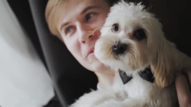 Young Man Holding Dog His Arms Close Cute Dog Maltipoo — Video