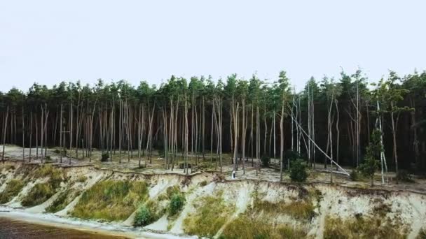 Couple Amoureux Câlins Sur Bord Une Falaise Vue Aérienne Couple — Video