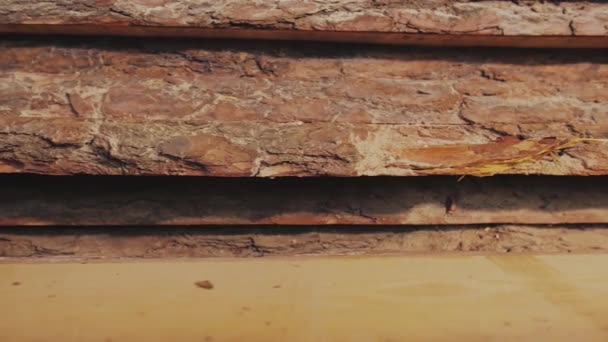 Wood Factory Stock Lumber Board Nature Business Export Camera Moves — Wideo stockowe