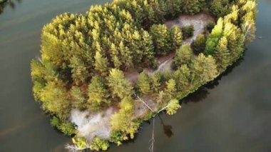 Aerial view of small island with pine trees in the middle of the lake. Close-up shot of island. High quality 4k footage