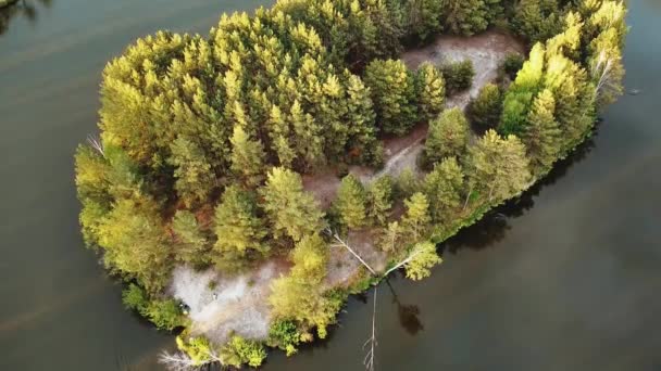 Aerial View Small Island Pine Trees Middle Lake Close Shot — ストック動画
