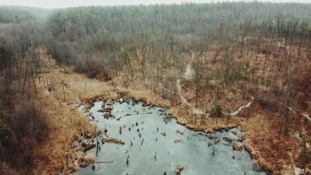 Frozen Lake Middle Forest Aerial View Lake Winter Winter Landscape — Wideo stockowe