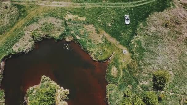 Ποτάμι Στην Άγρια Φύση Αεροφωτογραφία Του Μικρού Ποταμού Στη Μέση — Αρχείο Βίντεο