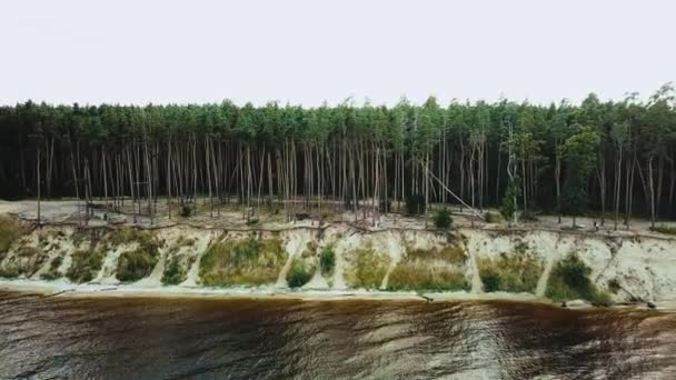 Couple Love Walking Beach Aerial View Sun Rays Pine Forest — Stock Video