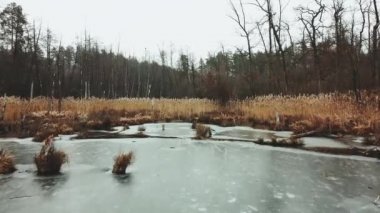 A frozen lake in the middle of a forest. Aerial view of the lake in winter. Winter landscape. High quality 4k footage