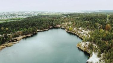 Aerial view of small island with pine trees in the middle of the lake. Close-up shot of island. High quality 4k footage