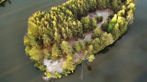 Aerial View Small Island Pine Trees Middle Lake Close Shot — Stockvideo