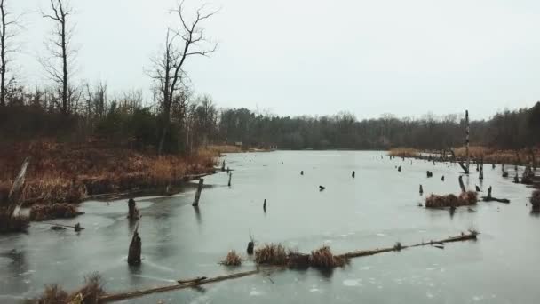 Frozen Lake Middle Forest Aerial View Lake Winter Winter Landscape — Video Stock