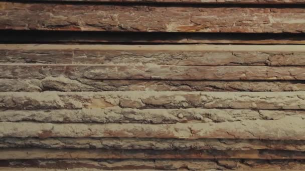 木材厂的木料和木料板与大自然的业务出口 相机慢动作向前推进 木质部木制作业木制家具 木材建筑材料 — 图库视频影像
