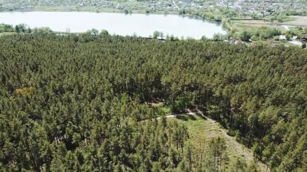 Aerial View Pine Forest Top View Pine Wood Park Forest — Stockvideo