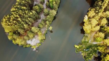 Aerial view of small island with pine trees in the middle of the lake. Close-up shot of island. High quality 4k footage