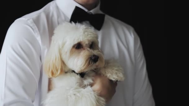 Young Man Holding Dog His Arms Play Small Dog Cute – Stock-video