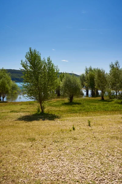 Árvores Inundadas Lago Sainte Croix Aldeia Sainte Croix Verdon — Fotografia de Stock