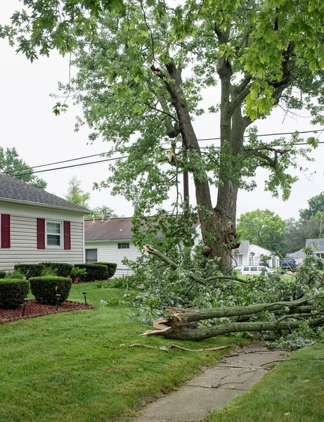 Shattered Tree Branches Downed Severe Storm — Zdjęcie stockowe