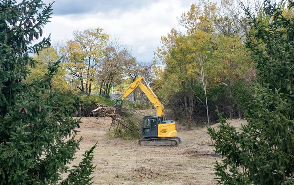 Escavatore Con Artiglio Che Trascina Gli Alberi Sradicati — Foto Stock