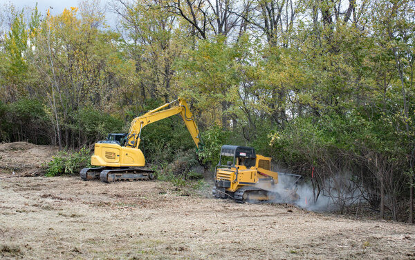 Лесозаготовительная линия и подлесок тяжелого машиностроения 