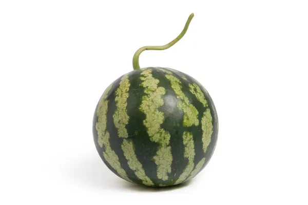 Eine Große Gestreifte Wassermelone Mit Langem Schwanz Fotografiert Vor Weißem — Stockfoto