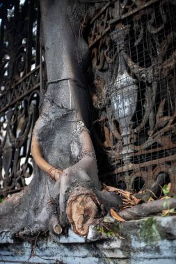 Eski bina, evin ön cephesinin ayrıntıları.