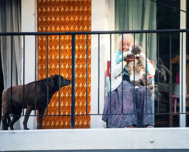 Balkonda kedisi ve köpeğiyle oturan son sınıf öğrencisi kadın.