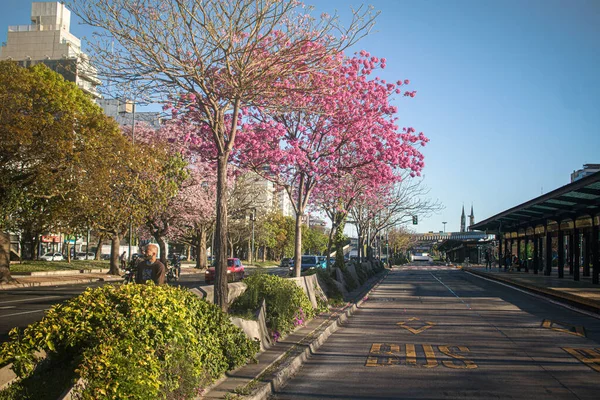 Carros Estrada Rua Cidade — Fotografia de Stock